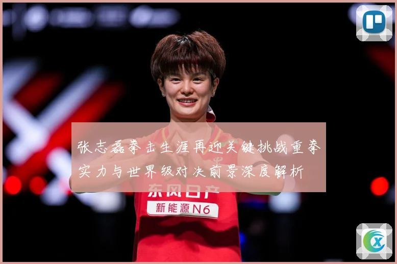 张志磊拳击生涯再迎关键挑战重拳实力与世界级对决前景深度解析